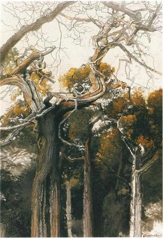 1704164973114477.jpg 微信圖片_20240102105236.jpg